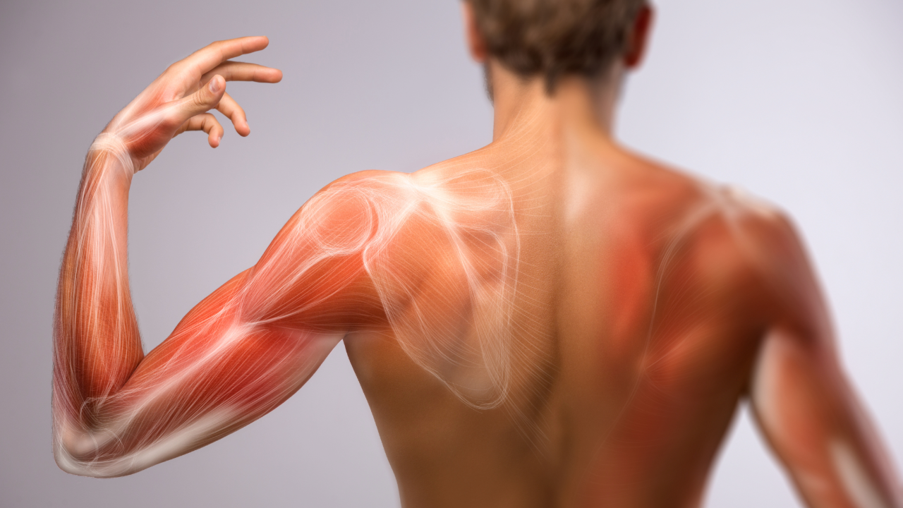 筋肉痛がないと効果がない？